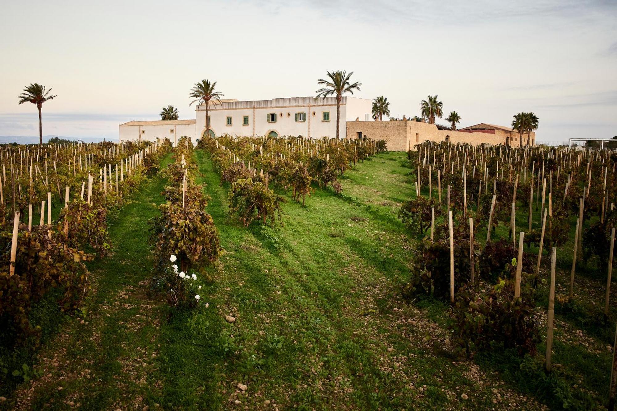 Agriturismo Baglio Donnafranca Wine Resort Marsala Ngoại thất bức ảnh