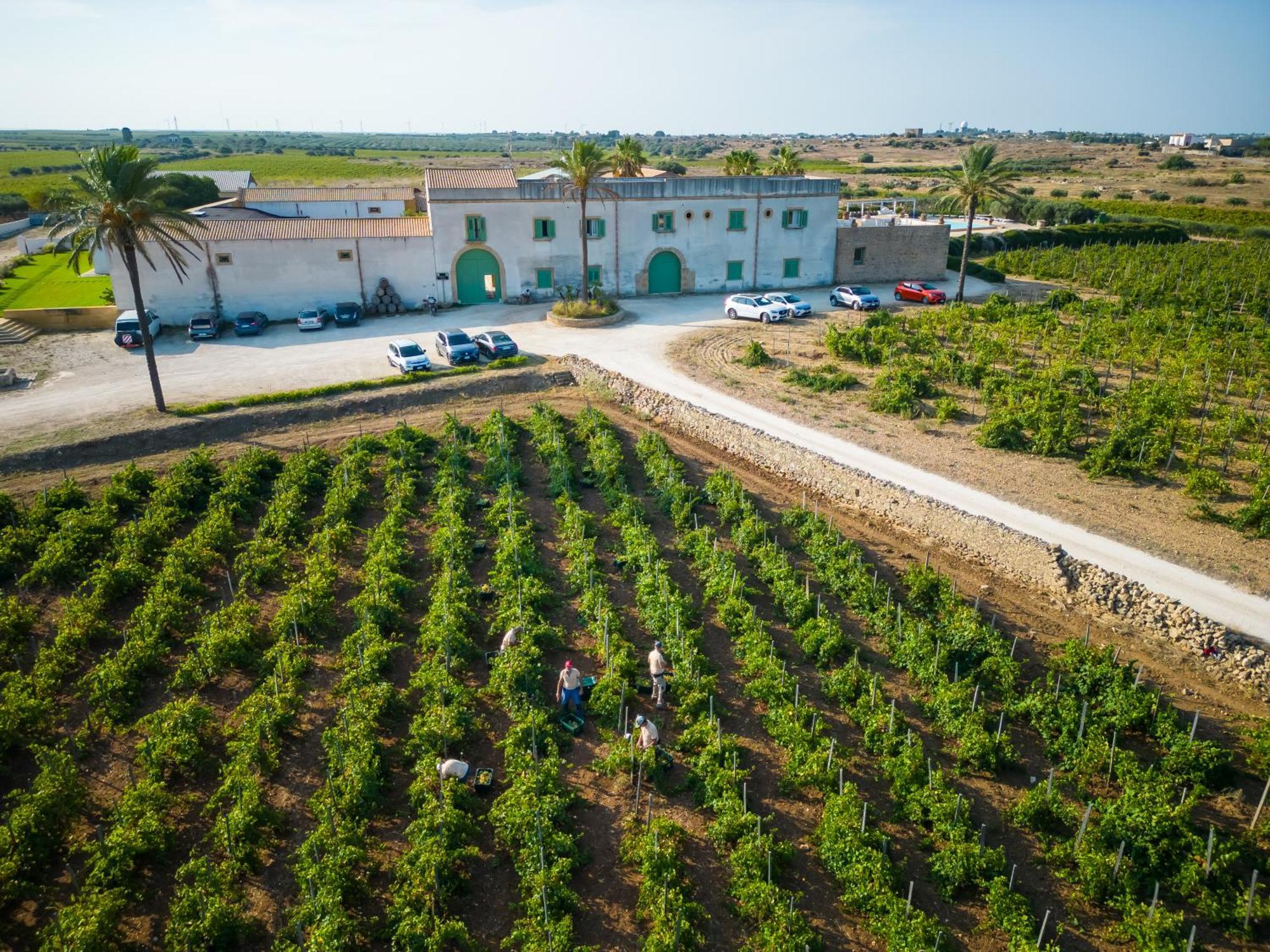 Agriturismo Baglio Donnafranca Wine Resort Marsala Ngoại thất bức ảnh
