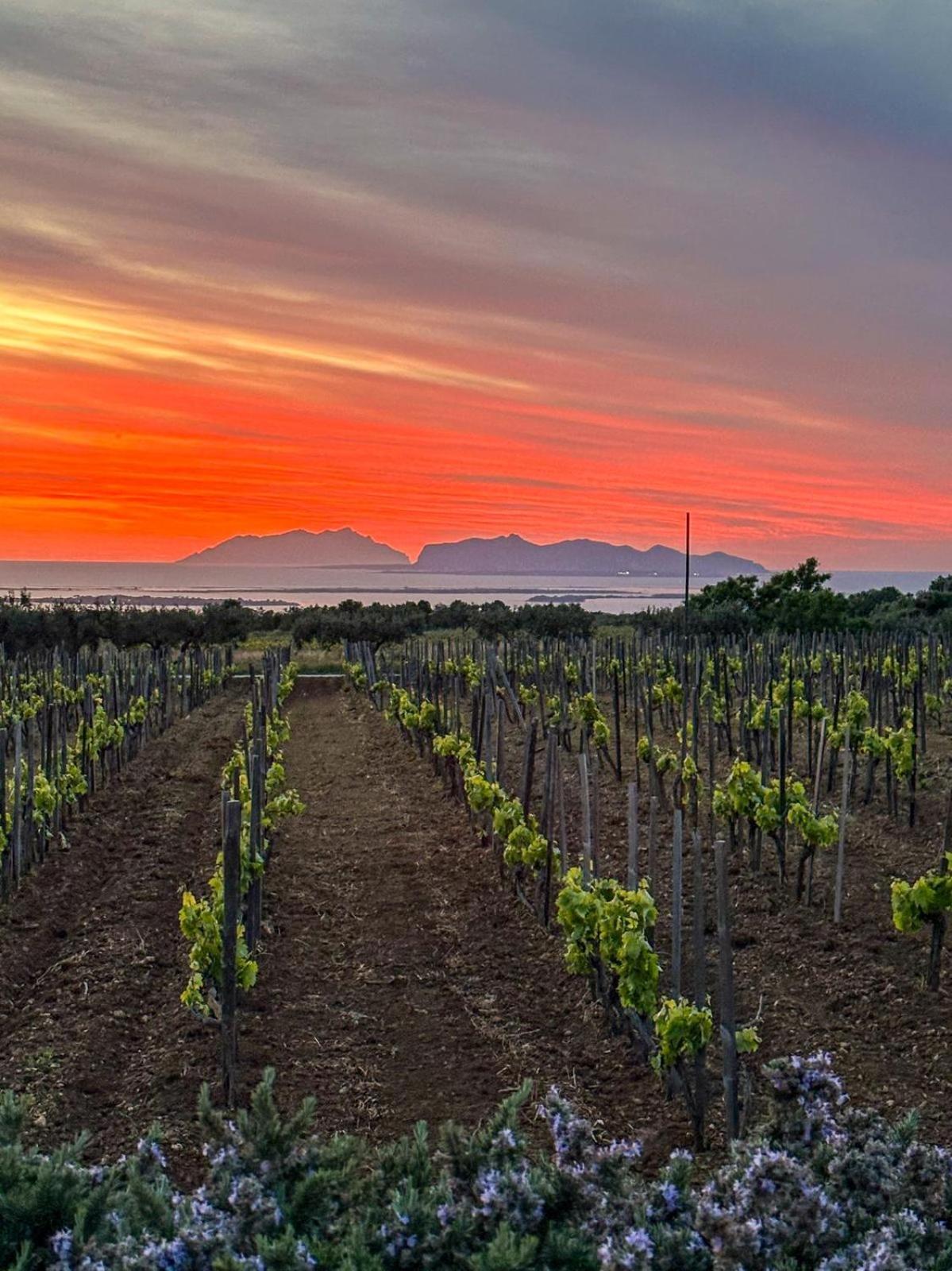 Agriturismo Baglio Donnafranca Wine Resort Marsala Ngoại thất bức ảnh