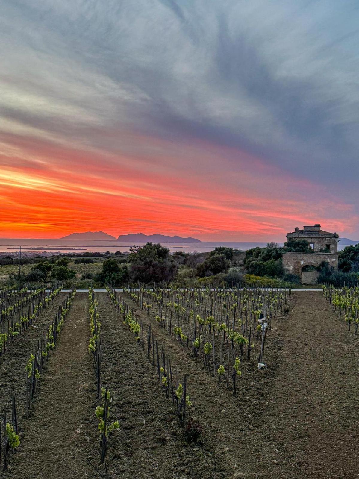 Agriturismo Baglio Donnafranca Wine Resort Marsala Ngoại thất bức ảnh