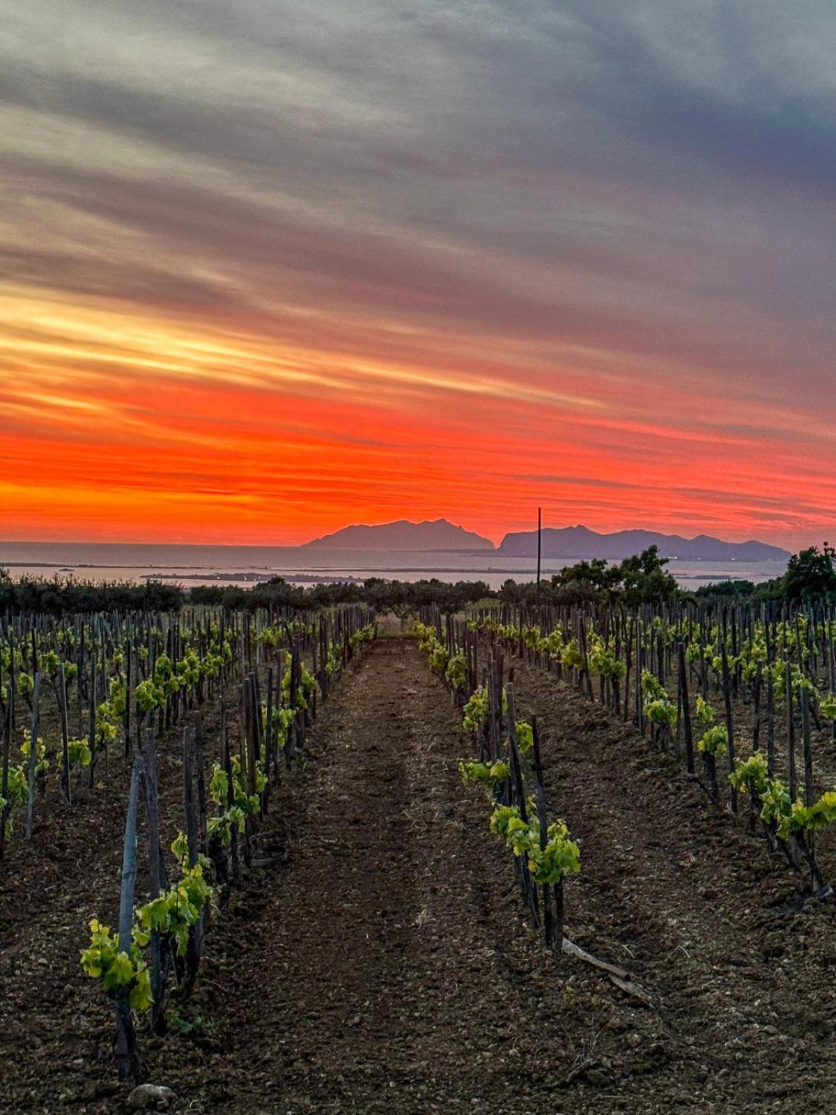 Agriturismo Baglio Donnafranca Wine Resort Marsala Ngoại thất bức ảnh