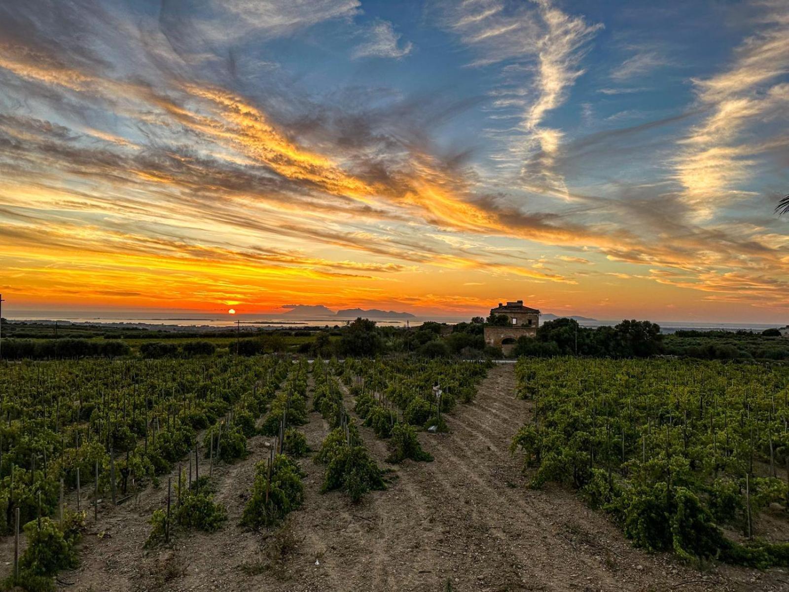 Agriturismo Baglio Donnafranca Wine Resort Marsala Ngoại thất bức ảnh